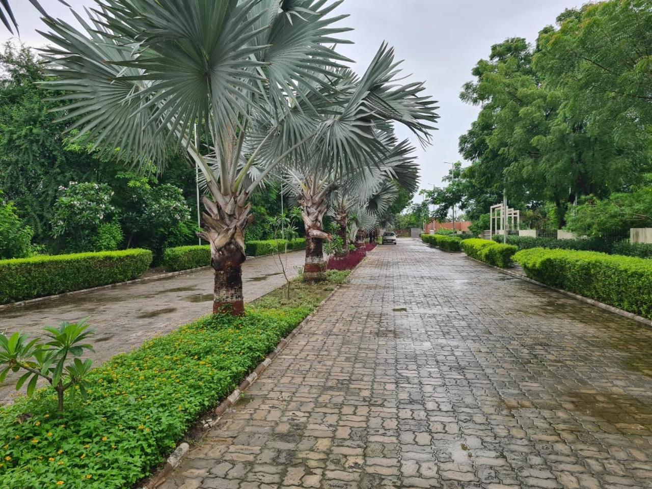 Club Azzurro Resort - Nalsarovar Nanodra Exterior photo